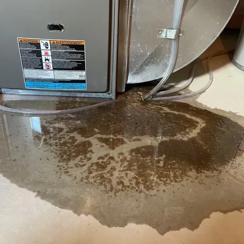 Appliance Leak Cleanup in East Pensacola Heights, FL